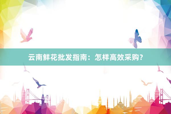 云南鲜花批发指南：怎样高效采购？